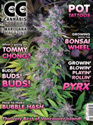 Cannabis Cultue issue 66 marijuana picture article